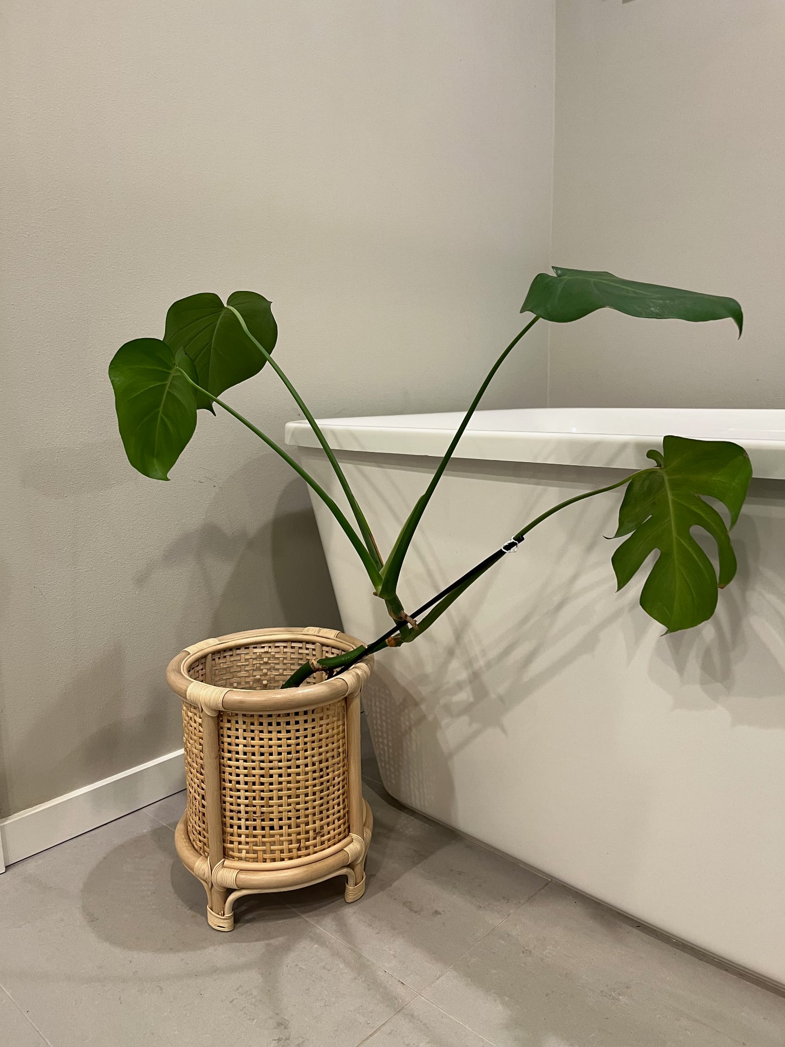 Rainy Sunday Refresh: H&M Home