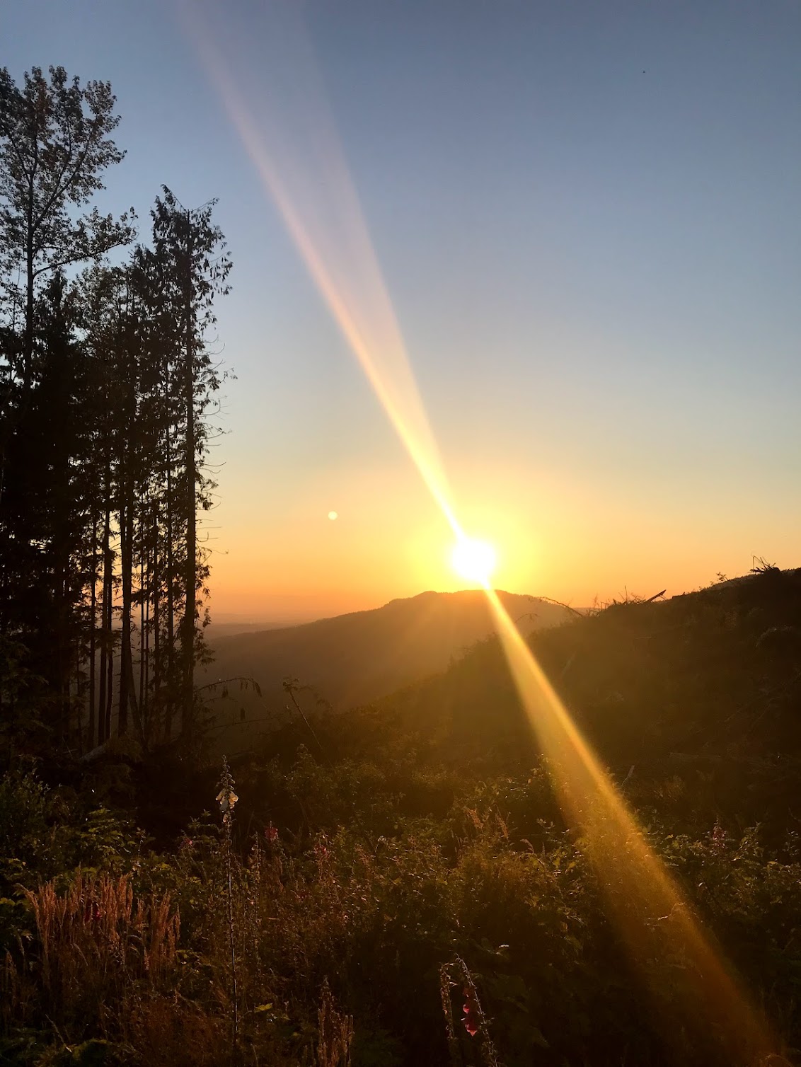 What I'd Tell a Friend Who Wants to Start Switching